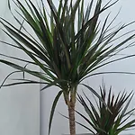 White Flat - Skyview Duplex * Bukarest