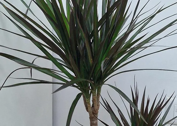 White Flat - Skyview Duplex * Бухарест