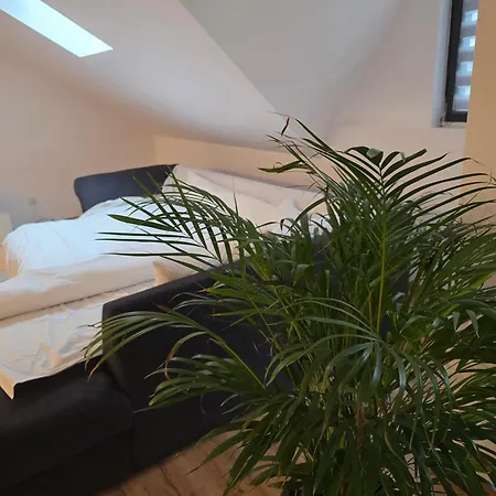 White Flat - Skyview Duplex *