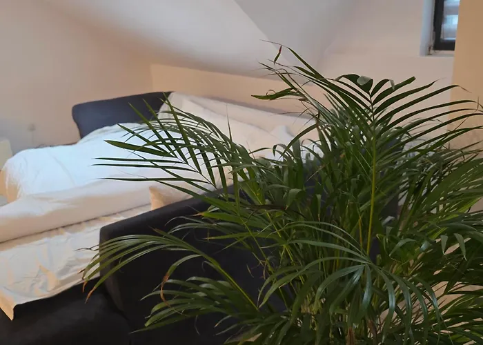 White Flat - Skyview Duplex *