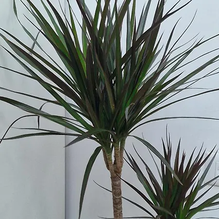 White Flat - Skyview Duplex * Βουκουρέστι